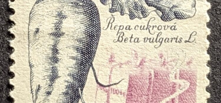 Sugar Beet, Cup and Saucer 1961 Czechoslovakia Stamp