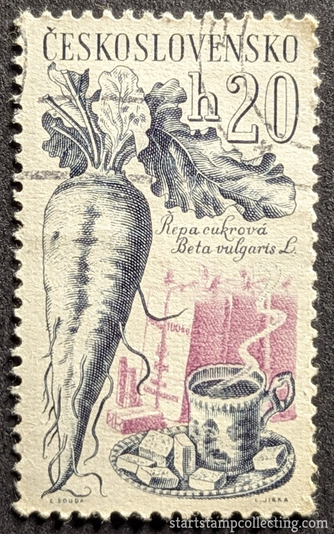 Sugar Beet, Cup and Saucer 1961 Czechoslovakia Stamp