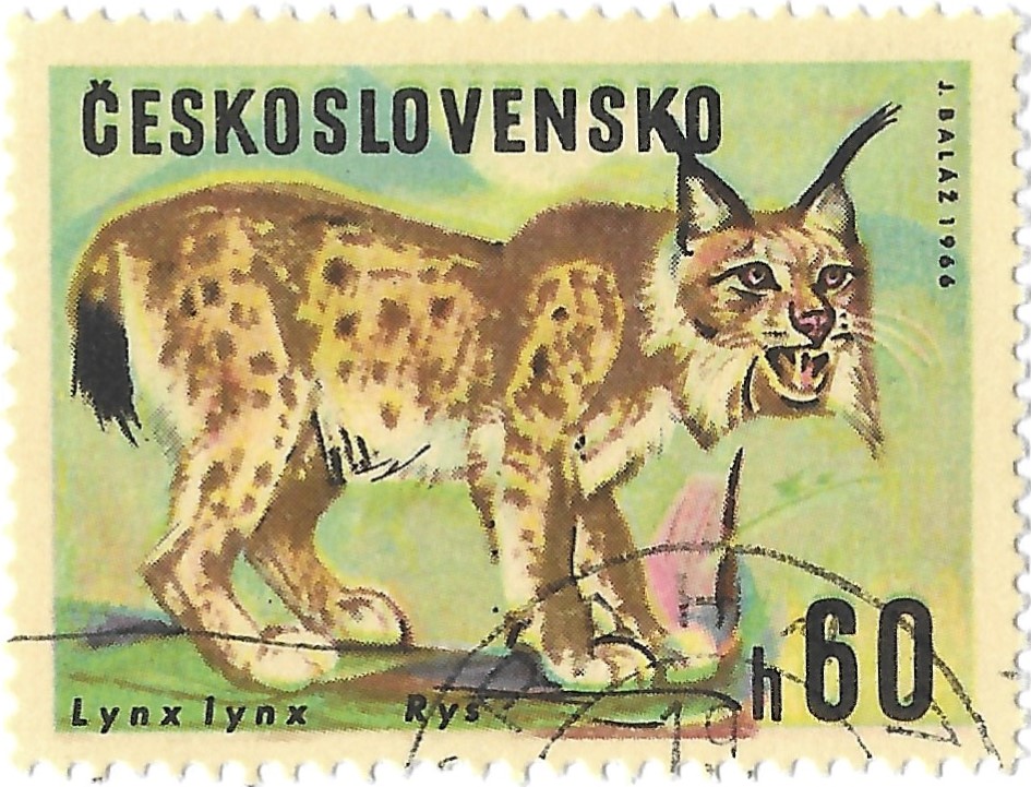 Eurasian Lynx Stamp