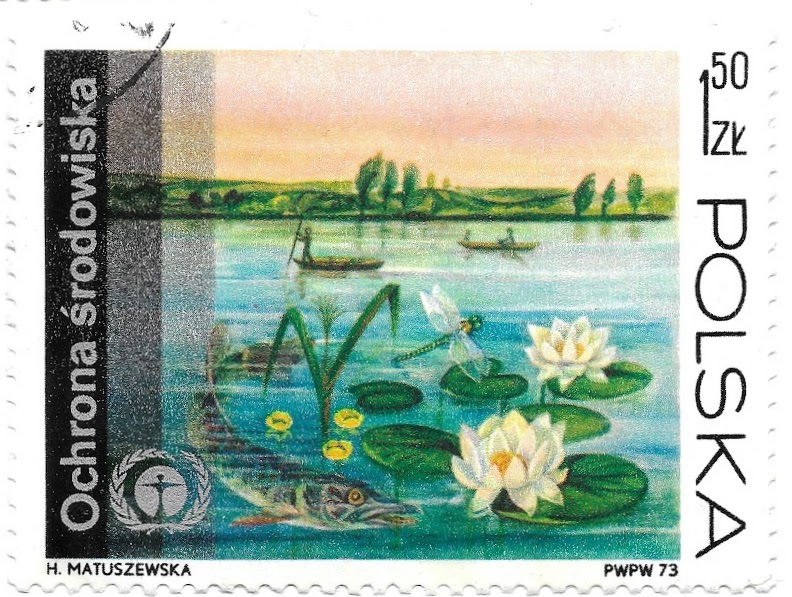 Pond with Pike (Esox lucius) and Water Lilies - Poland Stamp