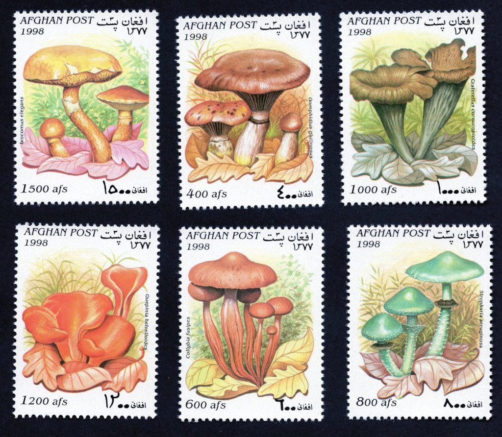 Afghanistan mushrooms / fungi on stamps