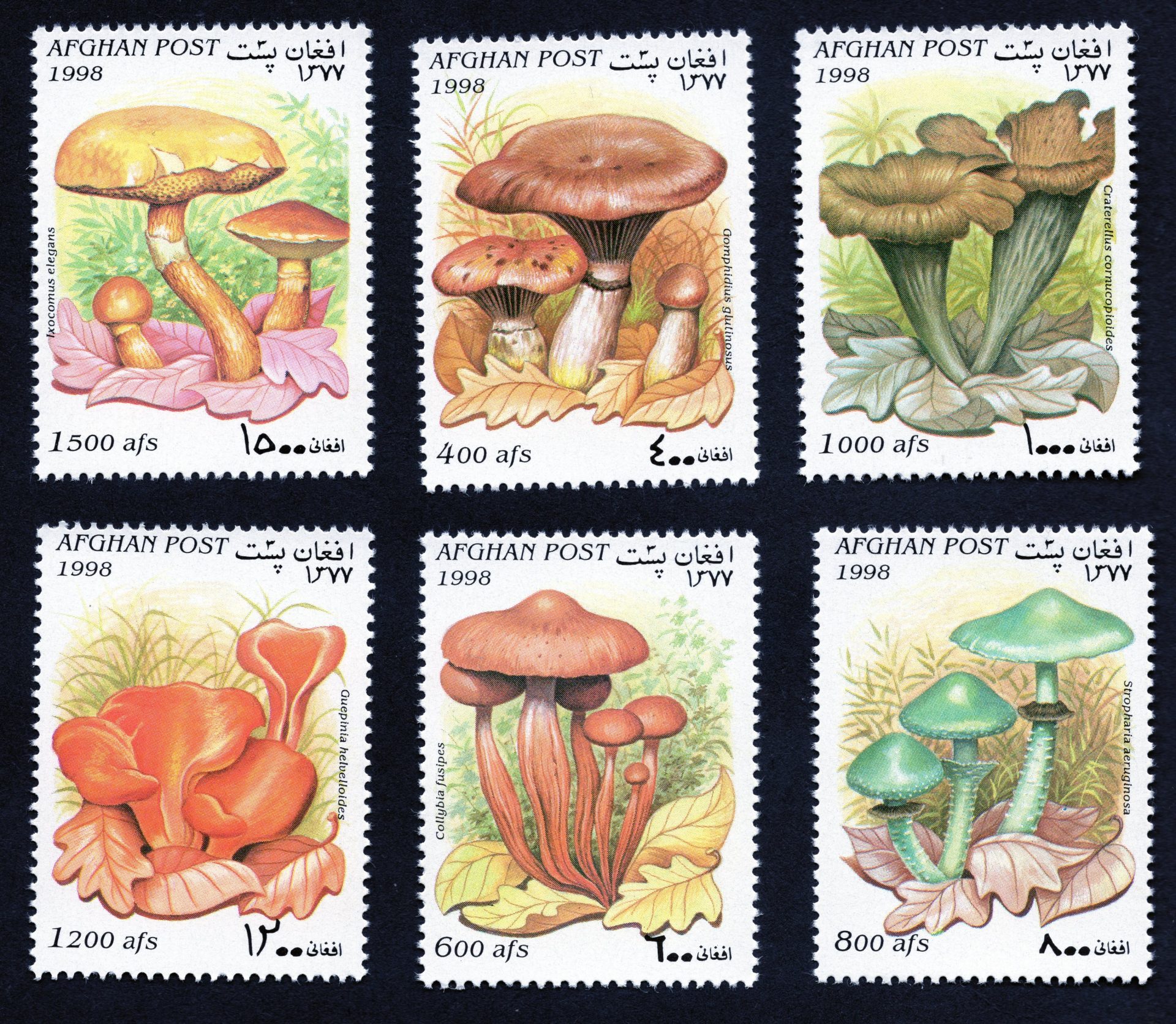 Afghanistan mushrooms / fungi on stamps