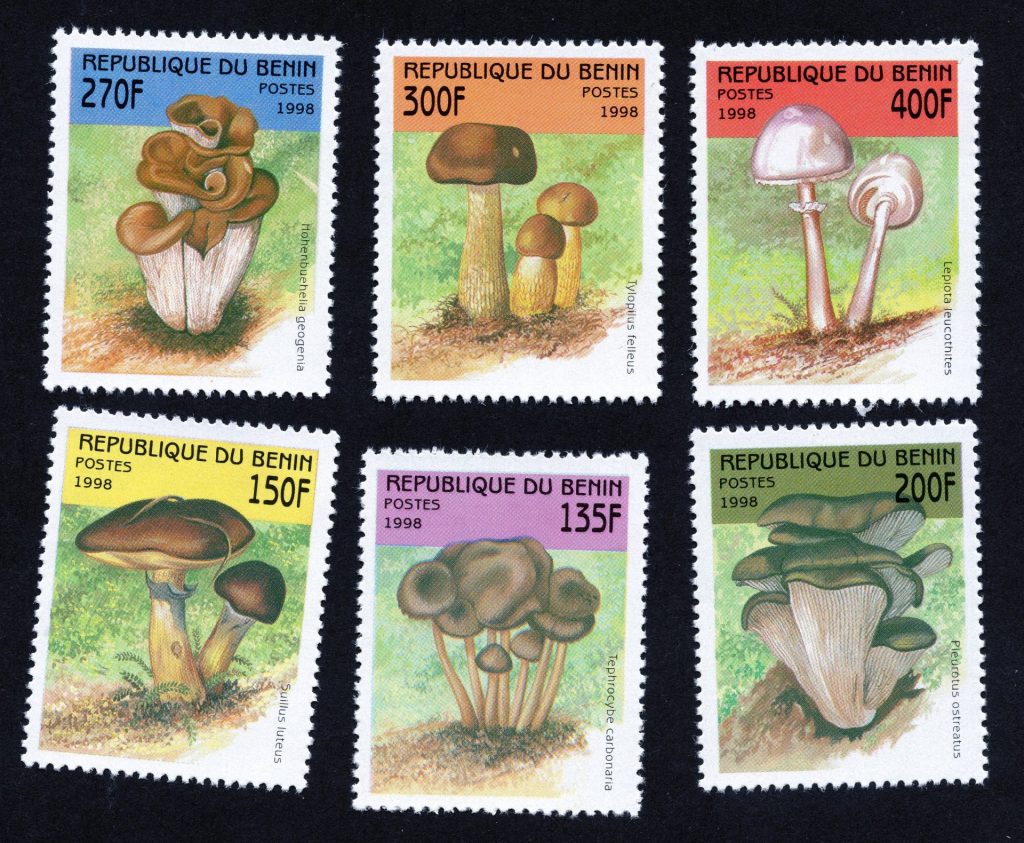 Benin mushrooms / fungi on stamps