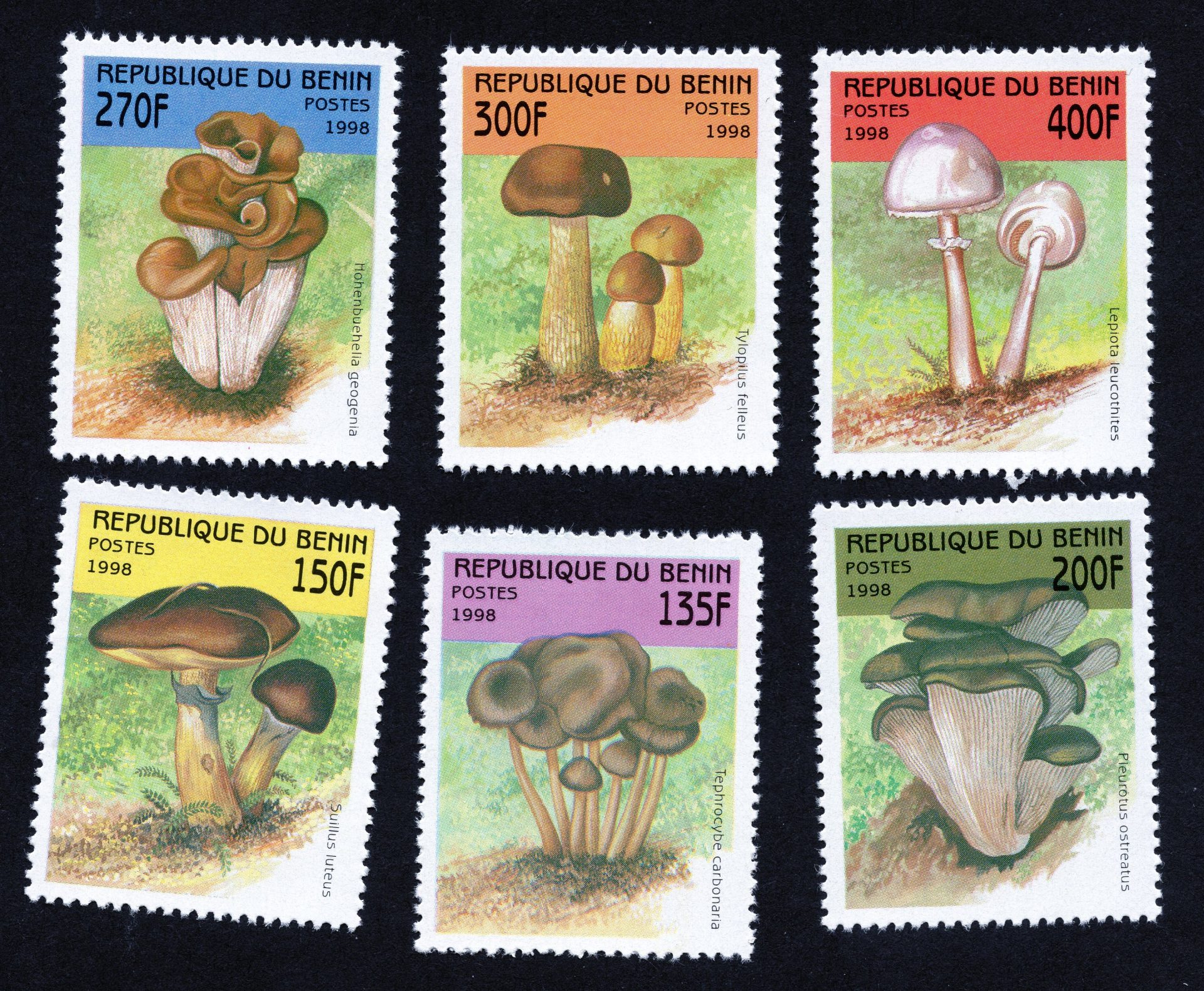 Benin mushrooms / fungi on stamps