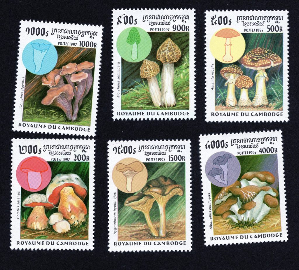 Cambodia mushrooms / fungi on stamps