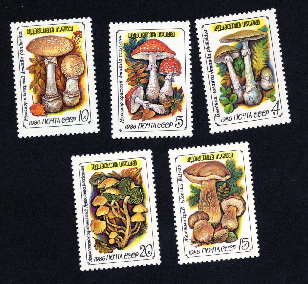 Fungi on Stamps - Russia