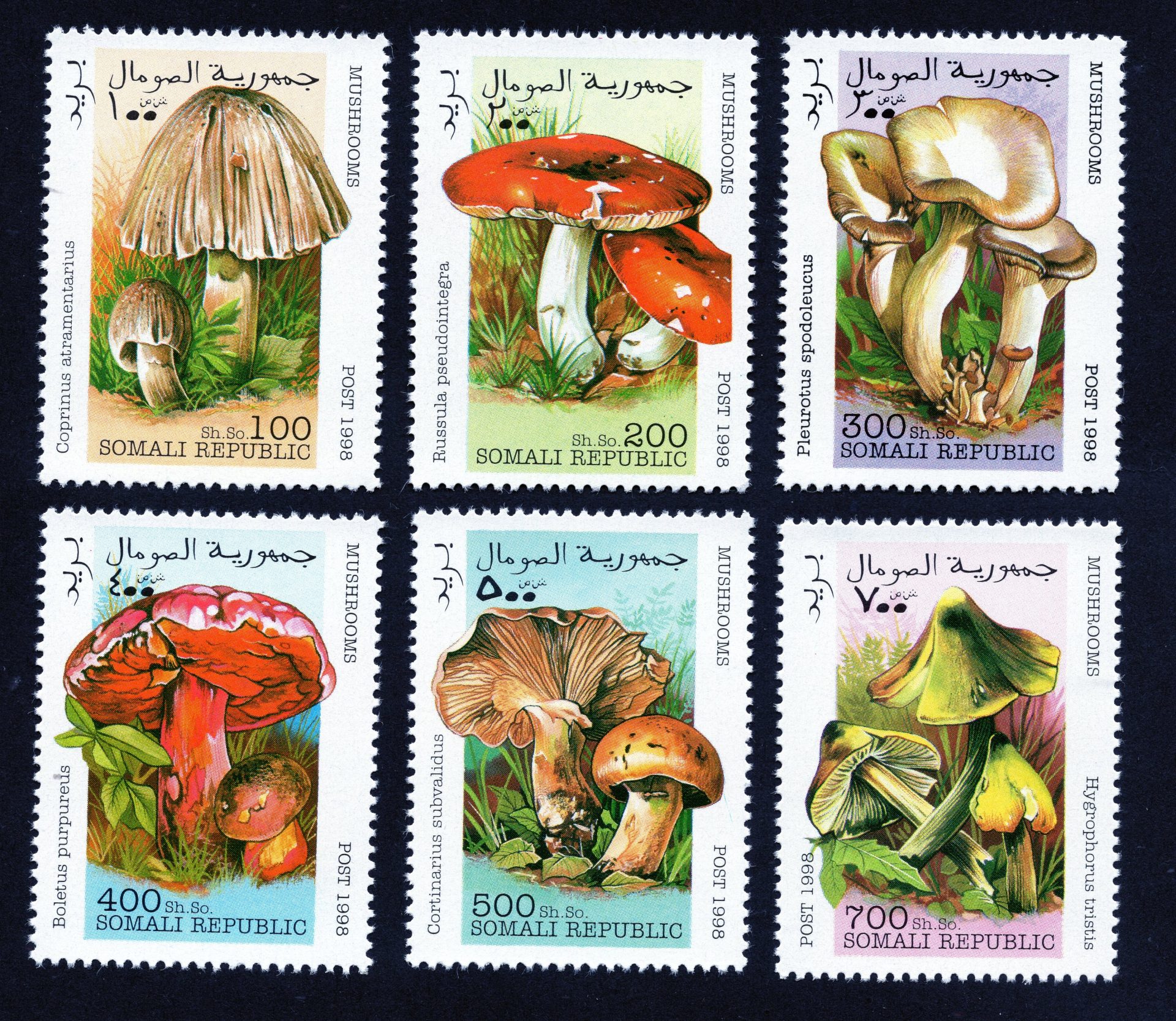 Somali mushrooms / fungi on stamps