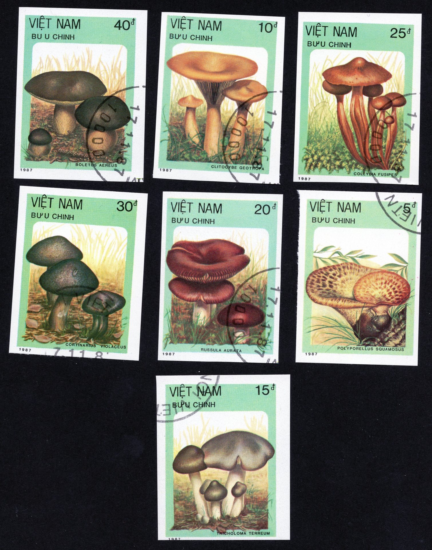 1987 Vietnam mushroom stamps featuring seven illustrated fungi species with Cancelled-To-Order postmarks.