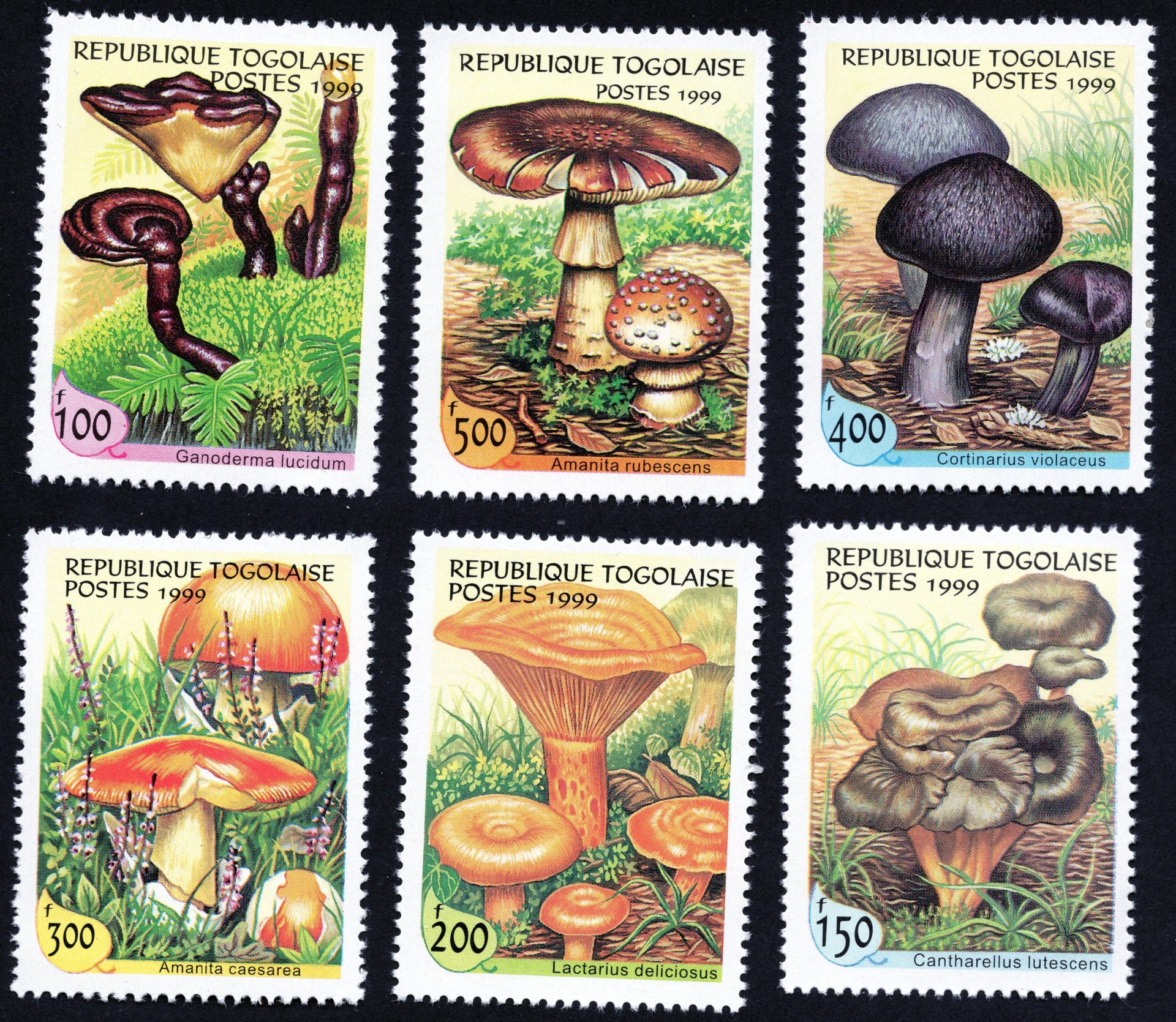 A series of stamps depicting mushrooms released in Togo in 1999