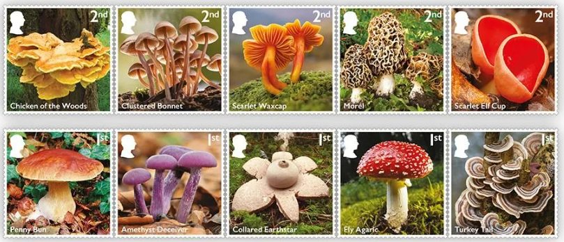 Royal Mail Mushroom Stamps 2025
