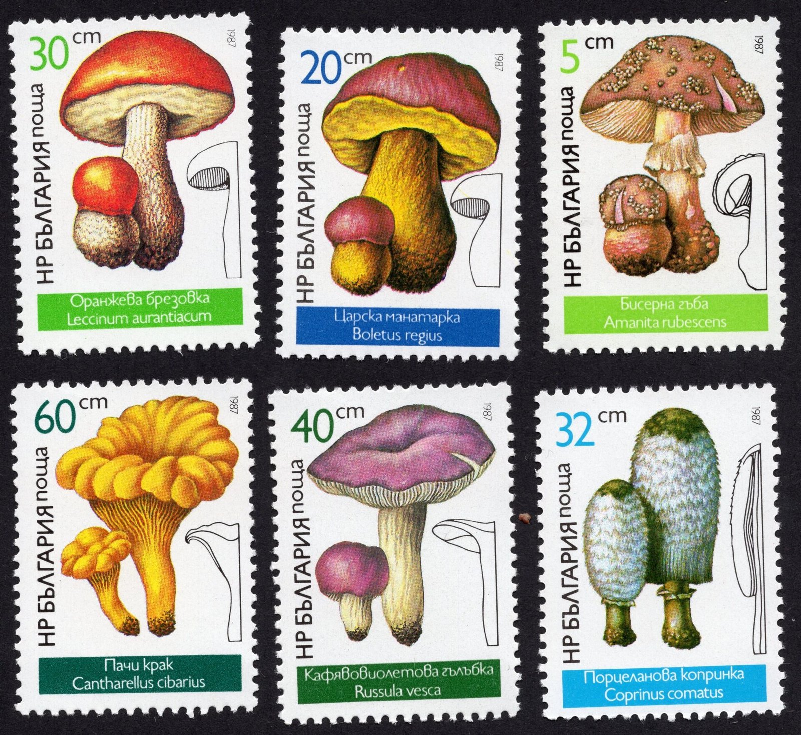 Bulgaria Mushrooms and Fungi Stamp Set 1987